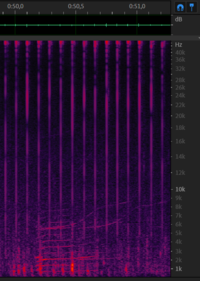 Chirp from 11 december - 0m50s.
