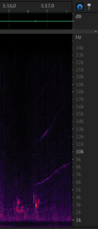 Chirp from 6 december - 5m17s.