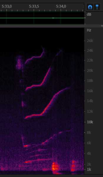 File:Chirp 8 12-data2 5m33s.png