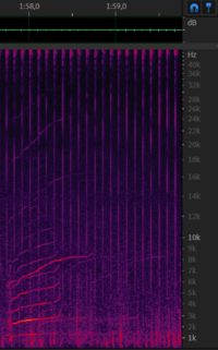 Chirp from 11 december - 1m58s.