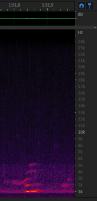 Chirp from 6 december - 1m51s.