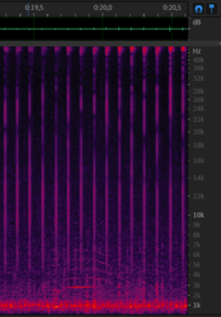 Chirp from 11 december - 0m19s.