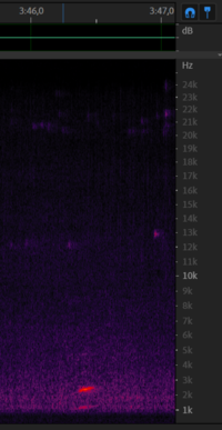 Chirp from 8 december - 3m46s.