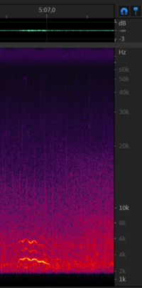 Chirp from 9 december - 5m07s.