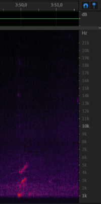 Chirp from 8 december - 3m50s.