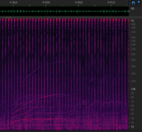 Chirp from 11 december - 4m38s.