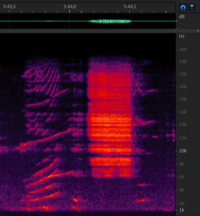 Chirp+zap+chirp from 8 december - 5m43s.