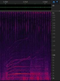 Chirp from 11 december - 1m24s.