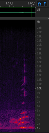 Chirp from 6 december - 1m59s.