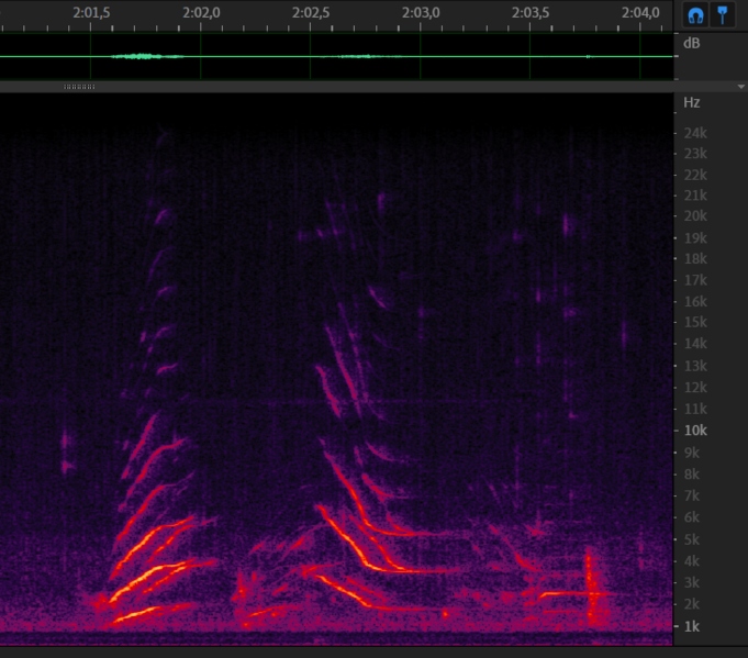 File:Chirp 6 12-data1 2m02s.png