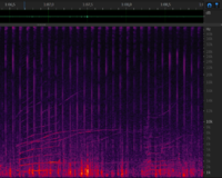 Chirp from 11 december - 1m07s.