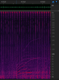 Chirp from 11 december - 4m33s.