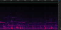 Chirp and constant from 6 december - 3m29s.
