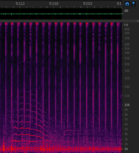 Chirp and trembling sound from 11 december - 0m12s.