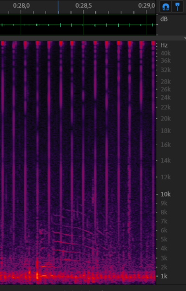 File:Chirp 11 12-data1 acquarium 0m28s.png