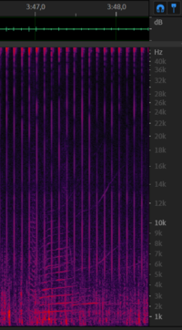 Chirp from 11 december - 3m47s.