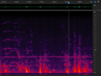 Chirp and constant from 6 december - 3m03s.