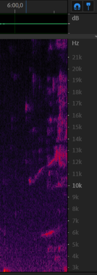 Chirp from 8 december - 6m00s.