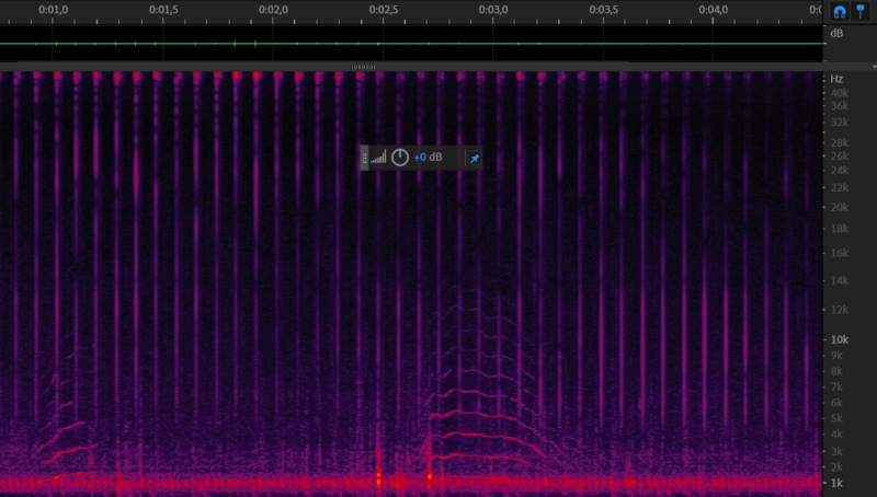 File:Trembling+chirp 11 12-data1 acquarium 0m01s.png