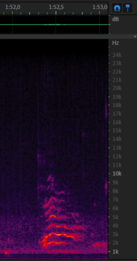 Trembling sound from 6 december - 1m52s.