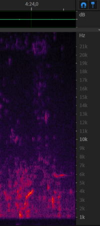 Chirp from 8 december - 4m24s.