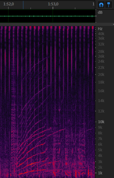 File:Chirp+zap 11 12-data1 acquarium 1m52s.png
