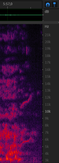 Chirp from 8 december - 5m57s.