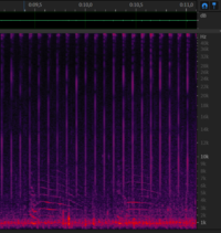 Chirp from 11 december - 0m09s.