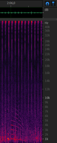 Chirp from 11 december - 2m06s.