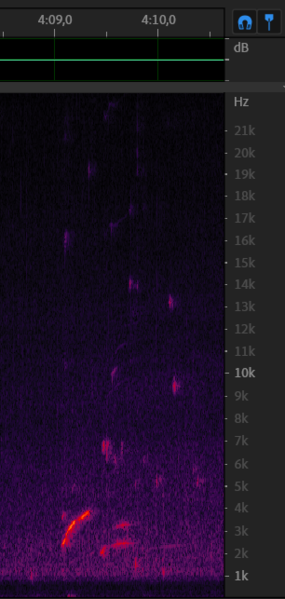 File:Chirp 8 12-data2 4m09s.png