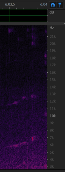 File:Chirp 8 12-data2 6m03s.png