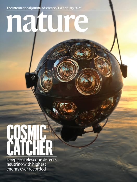 Sulla copertina di Nature!