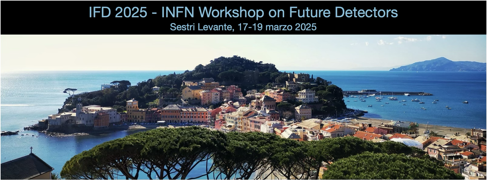 L’INFN e i rivelatori per gli esperimenti del futuro