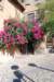 castelsardo_small.jpg