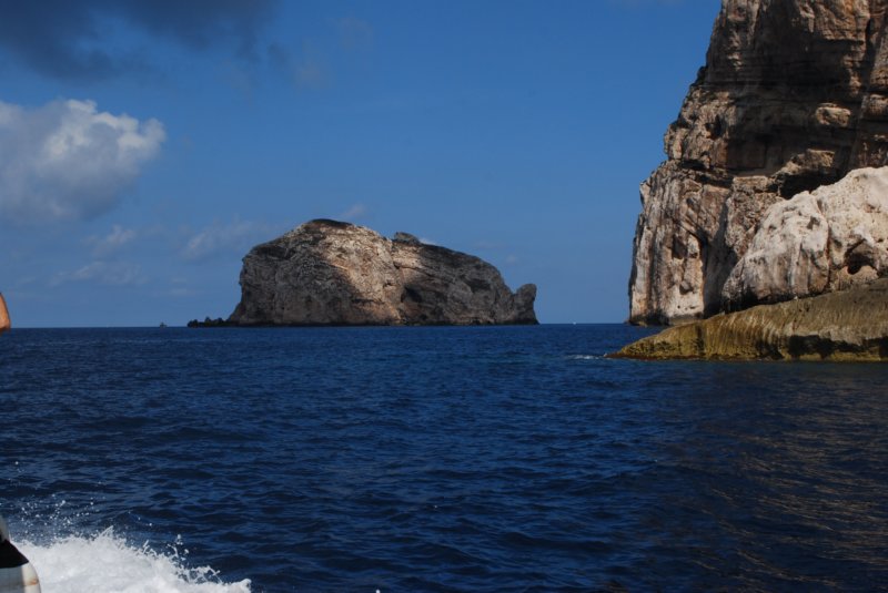 foradadaisland.jpg