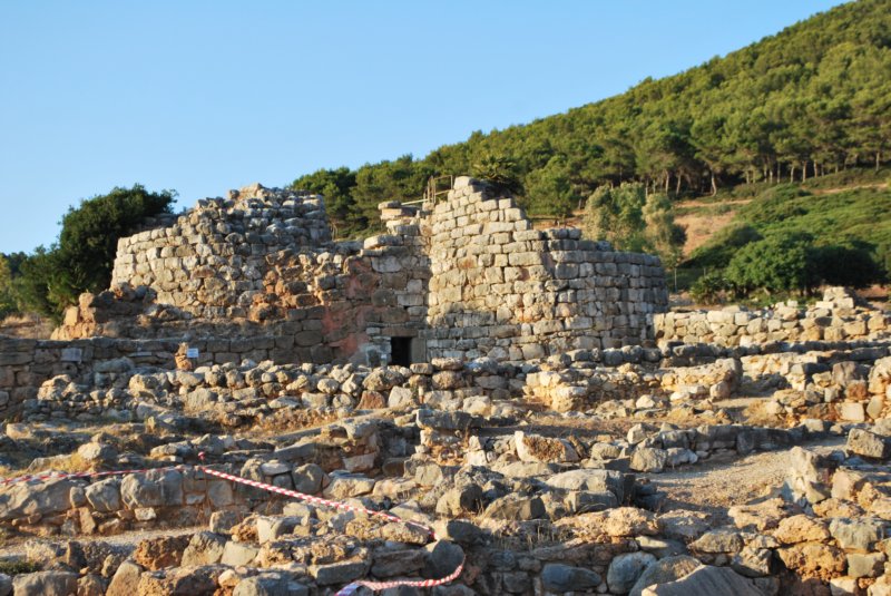 palmavera.jpg