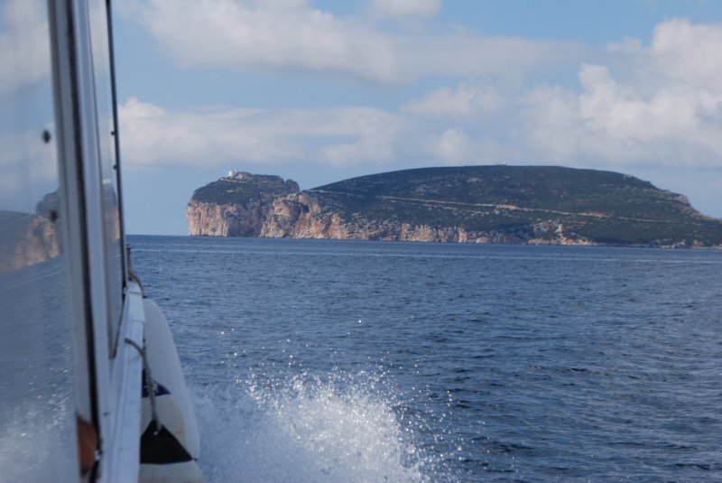 sailing2.jpg